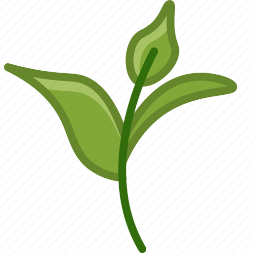 Bio, ecology, leaves, nature, tea, tearoom icon - Download on Iconfinder