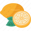 lemon, citrus, fruit, juice, fresh