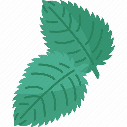 Mint, leaves, menthol, flavor, herbal icon - Download on Iconfinder