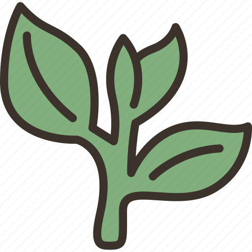 Tea, leaf, herbal, natural, organic icon - Download on Iconfinder