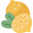 lemon, fruit, citrus, juice, ingredient