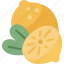 lemon, fruit, citrus, juice, ingredient 