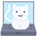 cat, computer, laptop, pet, telecommuting, work from home 