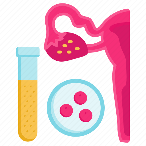 Ovary, beaker, female egg, ivf, semen, test tube, fertilization icon - Download on Iconfinder