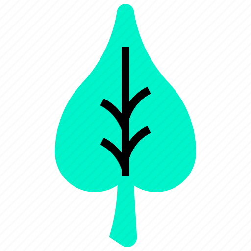 Bo, leaf, thailand, tree icon - Download on Iconfinder