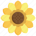 sunflower, flower, yellow, floral, flora, sunny, blossom