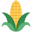 corn, agriculture, maize, food, vegetable, nature, farm 