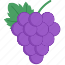 grape, fruit, fresh, food, juicy, wine, purple