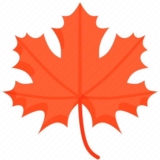 Maple, leaf, red, nature, fall, season, national icon - Download on Iconfinder