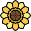 sunflower, flower, yellow, floral, flora, sunny, blossom 