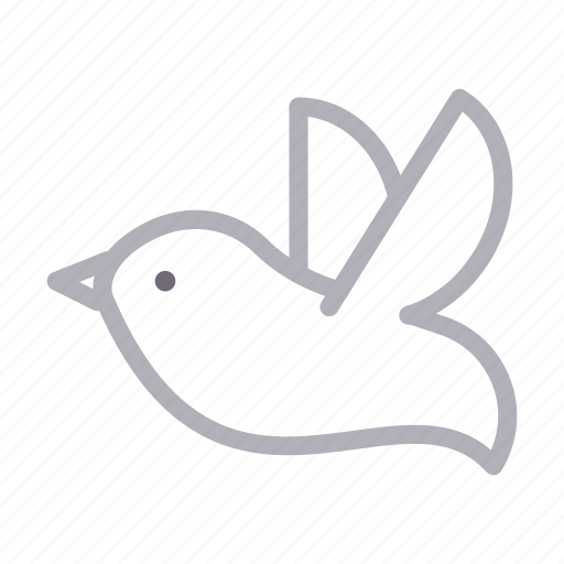Bird, dove, fly, love, peace icon - Download on Iconfinder