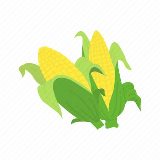 Corn, corn husk, corn on the cob, farm icon - Download on Iconfinder