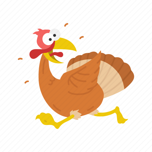 Bird Turkey Wild Turkey Thanksgiving Icon Download On Iconfinder