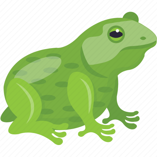 Amphibian, animal, carnivorous, frog, rana tigrina icon - Download on Iconfinder