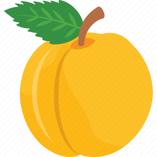 Fibre, fruit, health fruit, healthy diet, peach icon - Download on Iconfinder