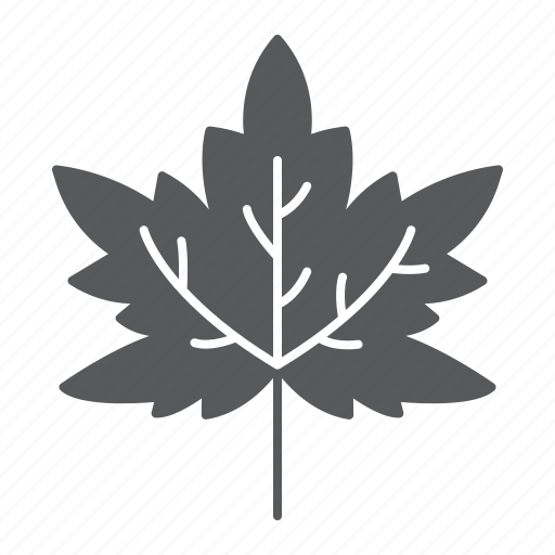 Maple, autumn, leaf, natural, leaves icon - Download on Iconfinder
