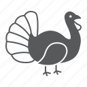 turkey, bird, thanksgiving, farm, meat, organic