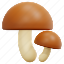mushroom, mushrooms, muscaria, fungi, nature, organic, food, 3d 