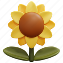 sunflower, petals, flower, botanical, blossom, nature, summer, 3d 