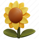 sunflower, petals, flower, botanical, blossom, summer, nature, 3d 