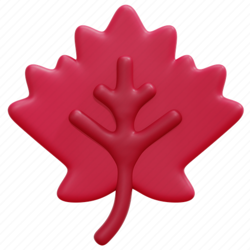 Maple, leaf, plant, garden, botanical, autumn, season 3D illustration - Download on Iconfinder