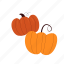 pumkin, autumn, orange, halloween, october, isolated, vegetable, background, season 
