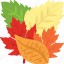 autumn leaves, colorful leaves, decoration leaves, dried leaves, leaves 