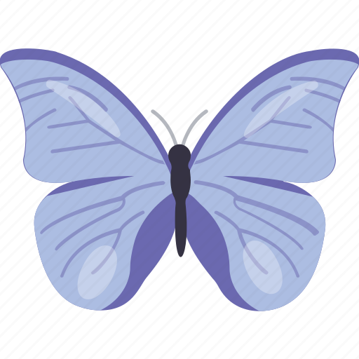 Bird, blue butterfly, butterfly, insect, pretty butterfly icon - Download on Iconfinder