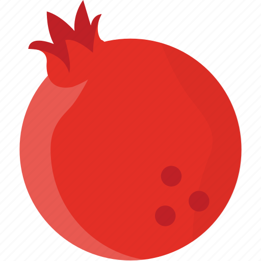 Juicy fruit, pomegranate, pomegranate development, pomegranate seeds, seedy fruit icon - Download on Iconfinder