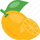 citrus fruit, fresh orange, fruit, orange slice, pulpy fruit