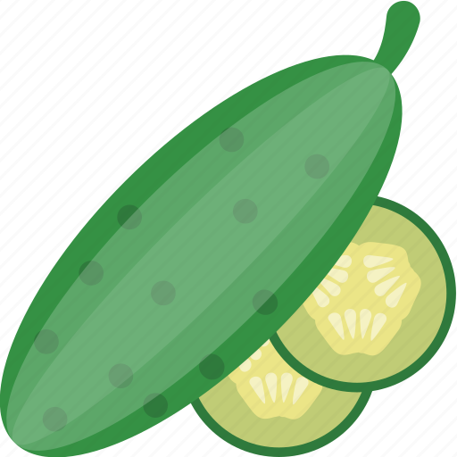 Cucumber, cucumis sativus, food, healthy diet, vegetable icon - Download on Iconfinder