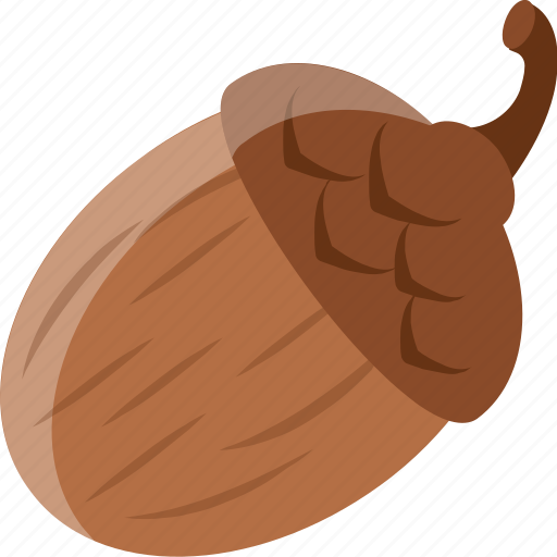 Acorn, chestnut, dry fruit, nut, oak tree icon - Download on Iconfinder