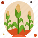corn, cinema, agriculture, maize, farm, popcorn, grain, food, snack