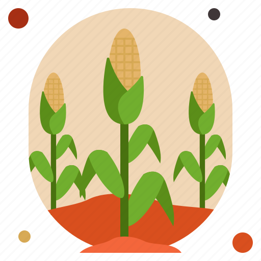 Corn, cinema, agriculture, maize, farm, popcorn, grain icon - Download on Iconfinder