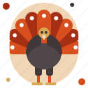 turkey, animal, thanksgiving, dog, pet, wild, bird, animals, zoo