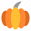 1, pumpkin, thanksgiving, cucurbita, food, vegetable