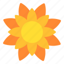 sunflower, thanksgiving, nature, plant, floral
