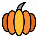 pumpkin, thanksgiving, cucurbita, food, vegetable