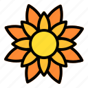 1, sunflower, thanksgiving, nature, plant, floral