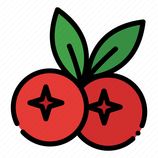 Cranberry, thanksgiving, holiday, autumn, vacation, food, fruit icon - Download on Iconfinder
