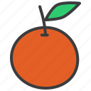 fruit, orange, thanksgiving