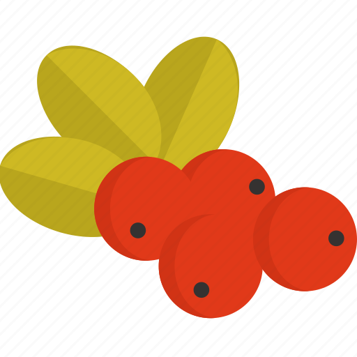 Berry, food, fruit, thanksgiving icon - Download on Iconfinder