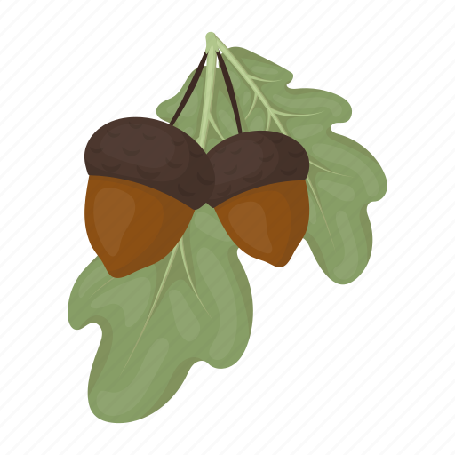 Acorn, day, holiday, leaf, oak, thanksgiving, tree icon - Download on Iconfinder