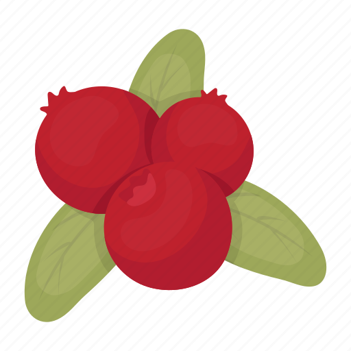 Berry, cranberry, day, food, holiday, thanksgiving icon - Download on Iconfinder