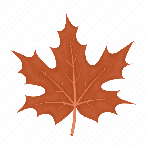 Autumn, leaf, maple, plant, thanksgiving day, tree icon - Download on Iconfinder