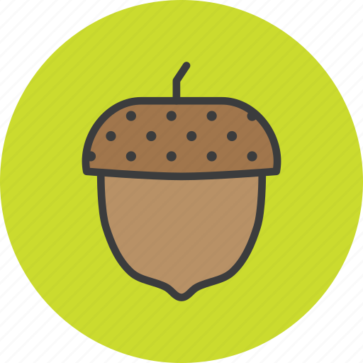 Acorn, autumn, beech, oak, seed, tree icon - Download on Iconfinder