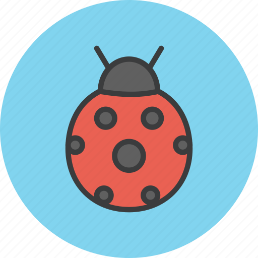 Autumn, bug, insect, lady, beetle, pest icon - Download on Iconfinder