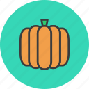 autumn, food, pumpkin, thanksgiving, vegetable