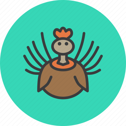 Bird, thanksgiving, turkey icon