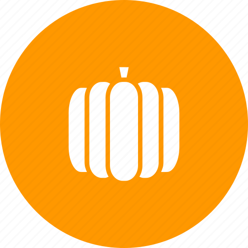 Autumn, food, pumpkin, thanksgiving, vegetable icon - Download on Iconfinder